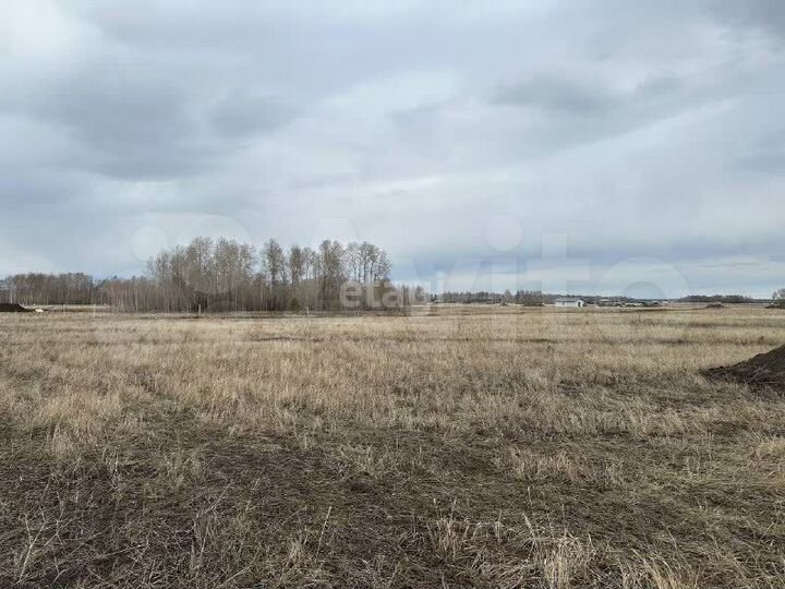 Участок 10,1 сот. (СНТ, ДНП)