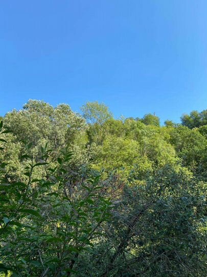 Дом 80 м² на участке 2 сот.