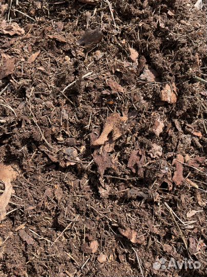 Лесной грунт, торф