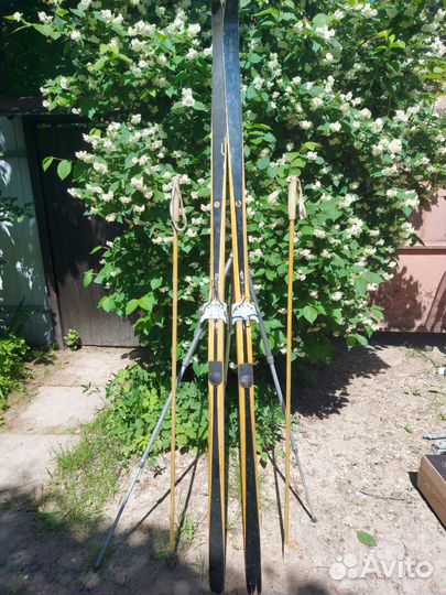 Беговые лыжи