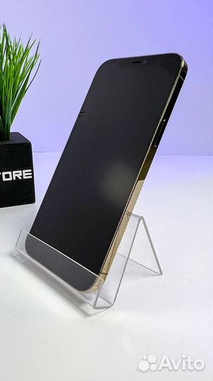 iPhone 12 Pro Max, 256 ГБ