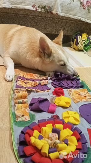 Игрушки для собак и кошек