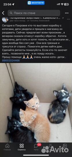 Котенок