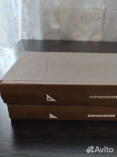 Шеллинг, Соловьёв Владимир - философское наследие