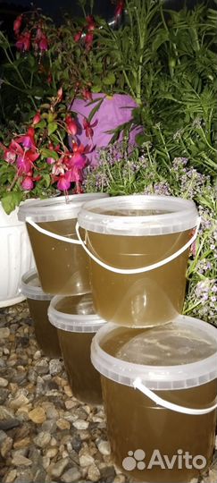 Мед разнотравье