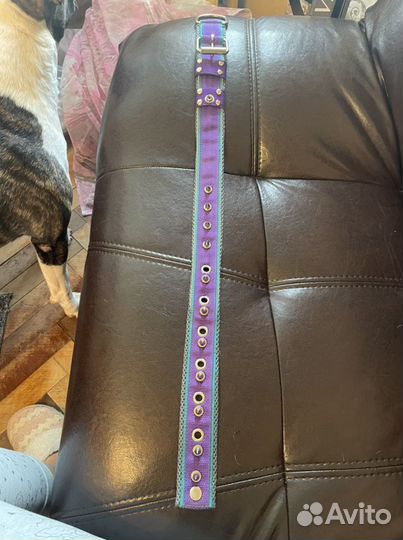 Ошейник на пряжке