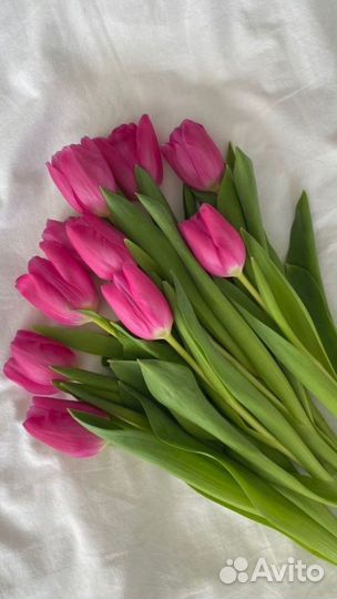 Тюльпаны к 8 марта оптом