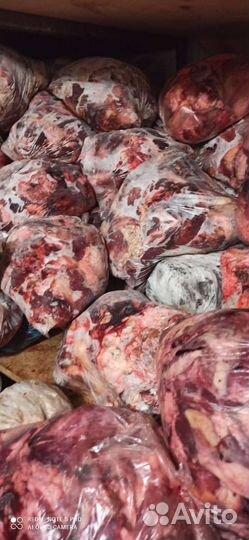 Мясо для собак говядина