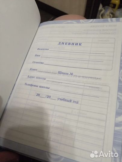 Дневник школьный