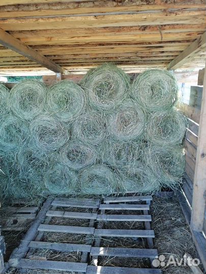 Продам сено в рулонах