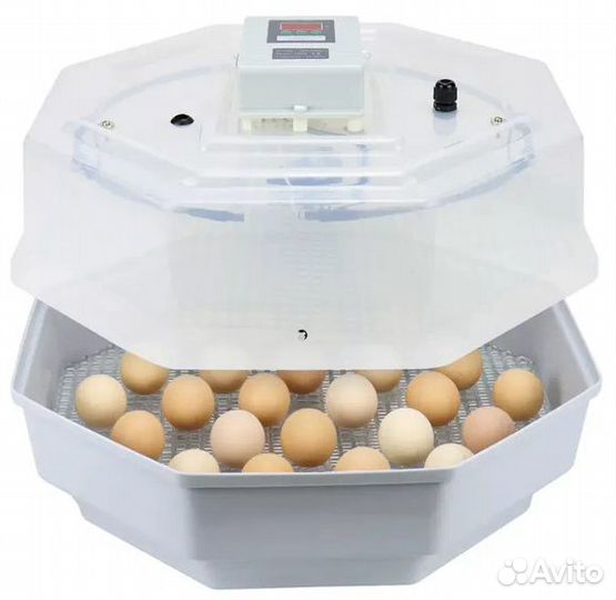 Инкубатор автоматический на 42 яйца в аренду