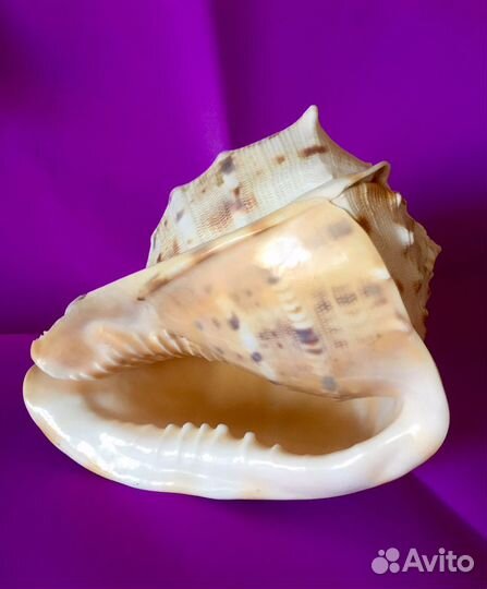 Предметы интерьера