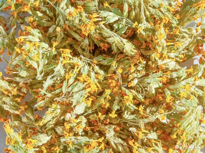 Примула лекарственная дикорастущая,сушеная, 50г