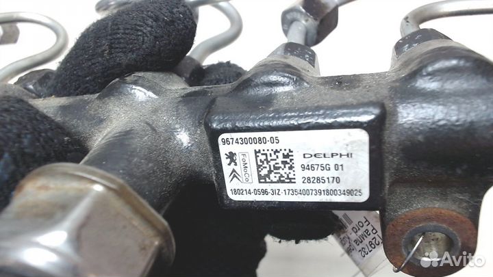 Рампа топливная Ford Kuga 2016, 2018