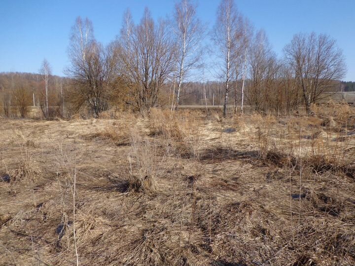 Участок 12 сот. (СНТ, ДНП)
