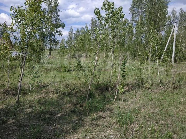 Участок 1,28 га (СНТ, ДНП)