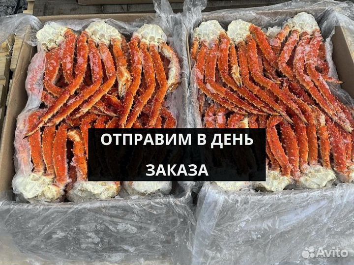 Клешни камчатского краба