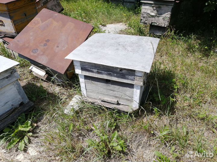 Улей лежак(12,24 рамки)