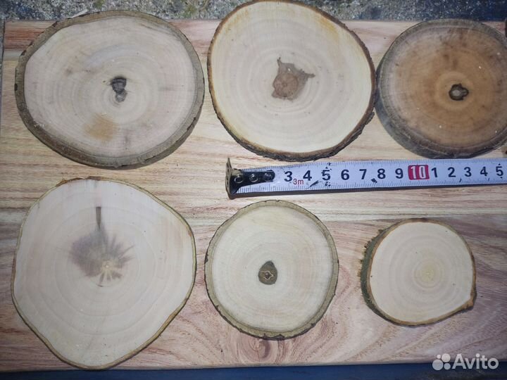 Спилы дерева