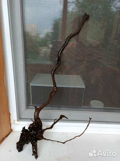 Коряги для аквариума