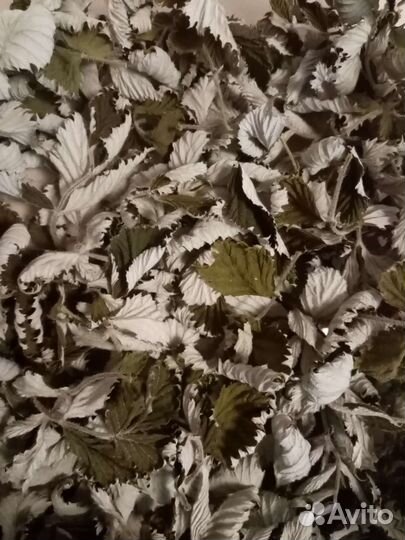 Чай ручной сбор. Малина. Лаванда. Мята.Урожай 2023