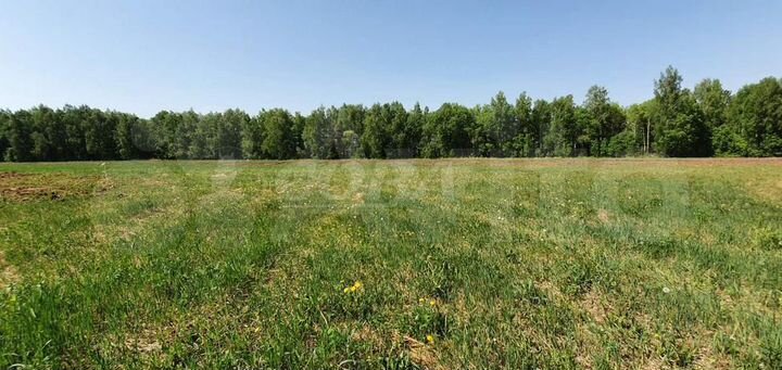 Участок 10,3 сот. (ИЖС)