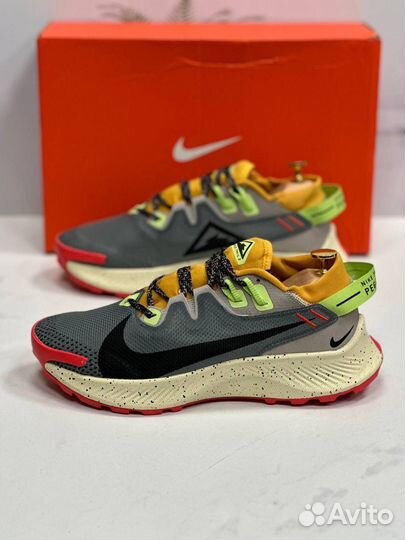 Кроссовки Nike Pegasus Trail 2