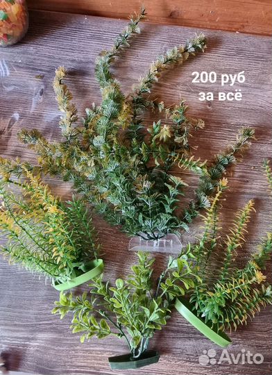 Украшения в аквариум (водоросли растения)