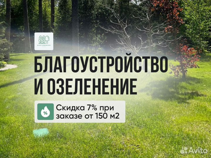 Рулонный газон от производителя