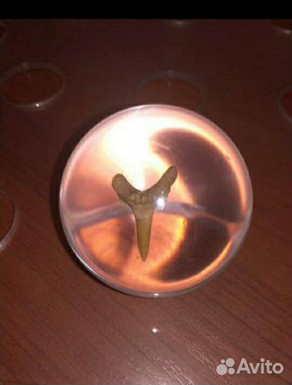 Коллекция чудеса природы