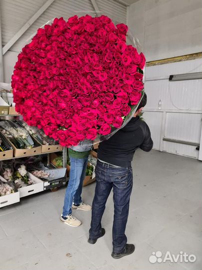 Розы Цветы Букеты 25 51 151 201 101 301 501 опт