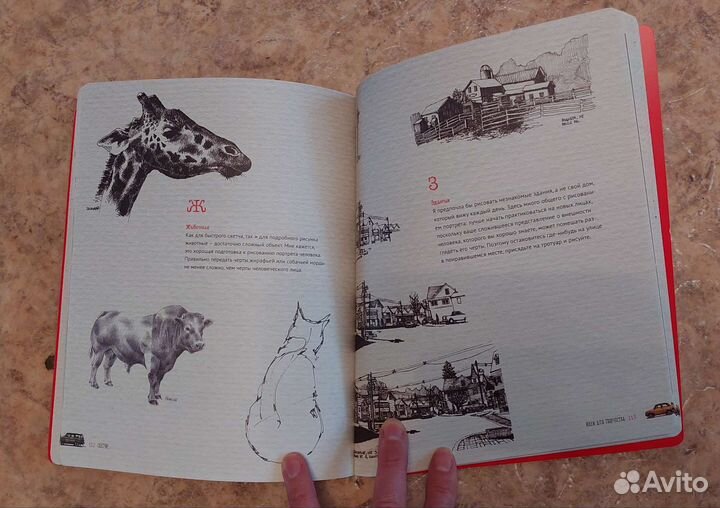 Книга Скетчи