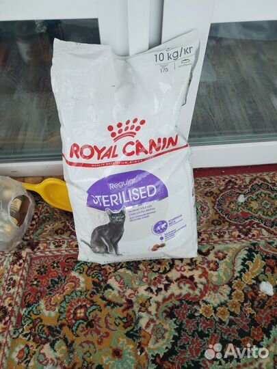 Корм для кошек