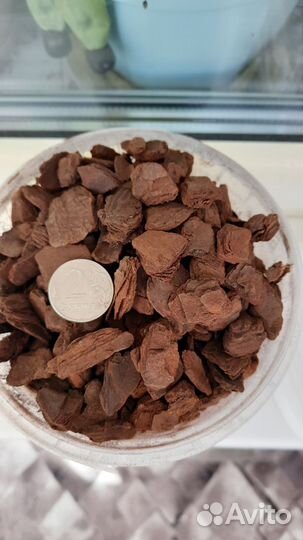 Все для орхидей