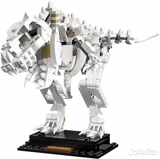 Lego 21320 Dinosaur Fossils