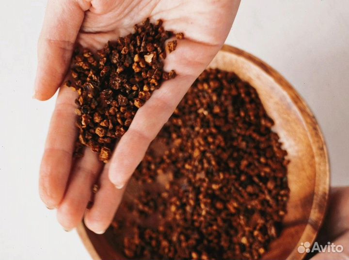 Чага сушеная опт. Любые объемы и виды