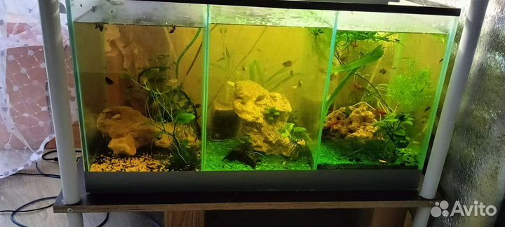 Аквариумы