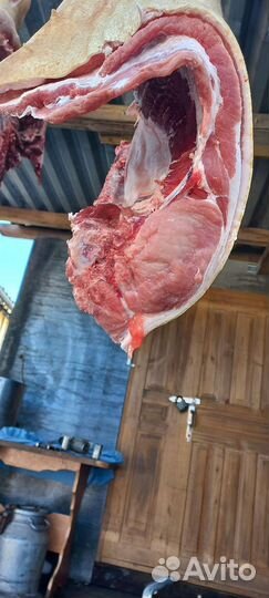 Мясо свинина