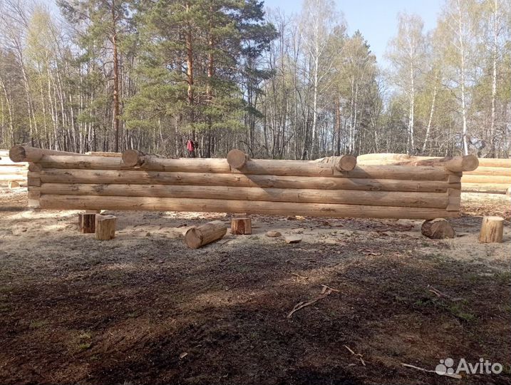 Сруб для дома 6х8