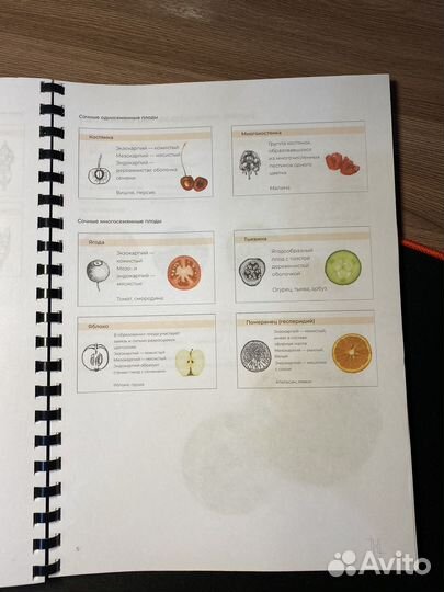 Конспект По Ботанике егэ