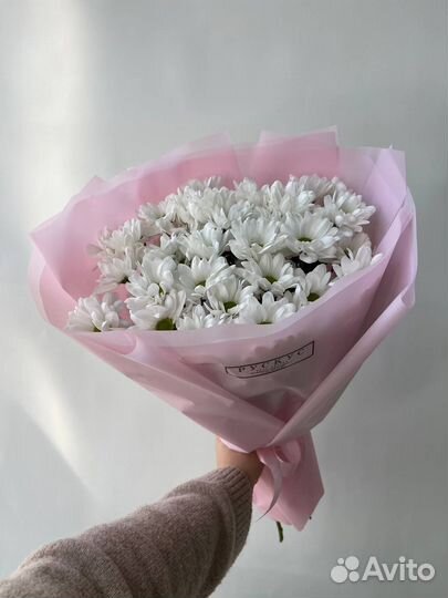 Букет из 7 белых хризантем