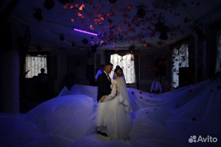 Ведущая, музыкант