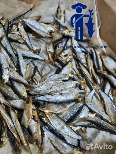 Жерех холодного копчения/Посылки из Астрахани