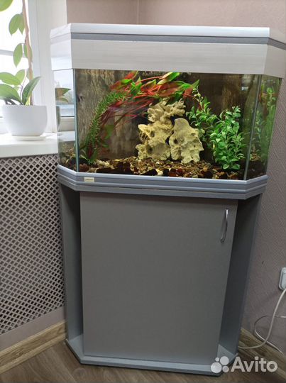 Аквариум 60 л и в подарок 30л с тумбой
