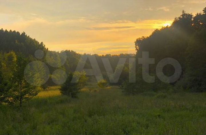 Участок 170 га (СНТ, ДНП)