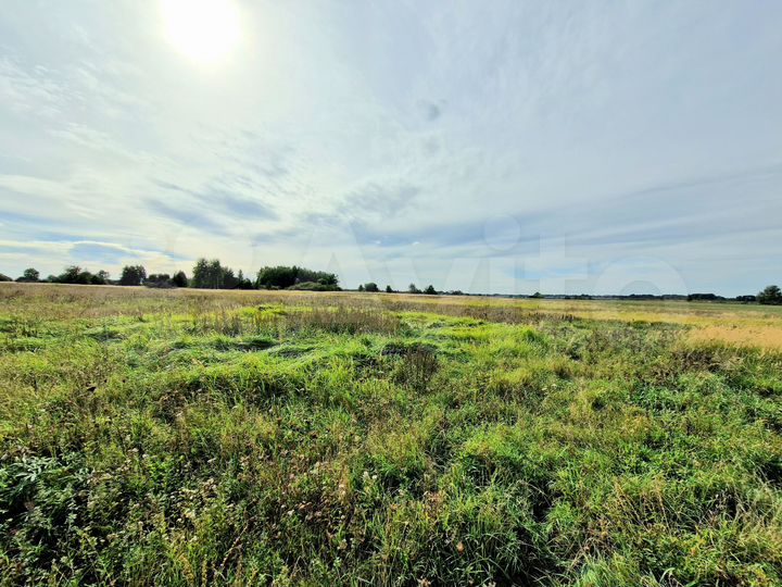 Участок 6 га (СНТ, ДНП)