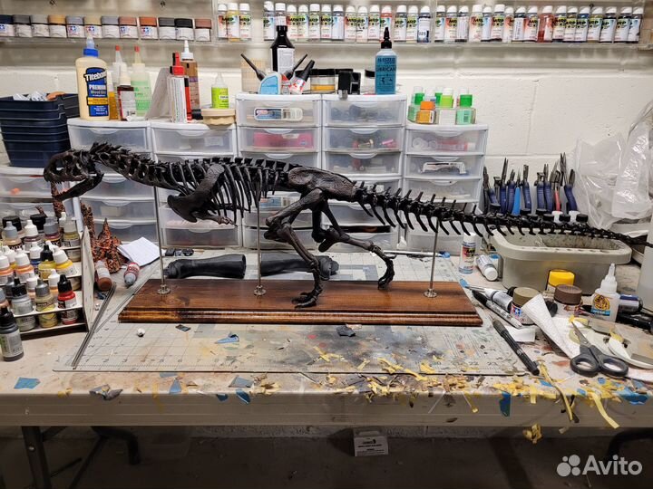 Скелет майунгазавра 1:6 (110см)