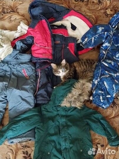 Доставка Люба