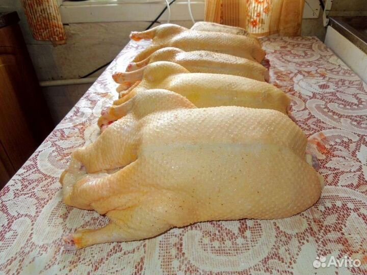 Продам мясо гуся домашнего