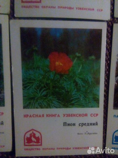 Календарики Красная книга узсср Узбекистана